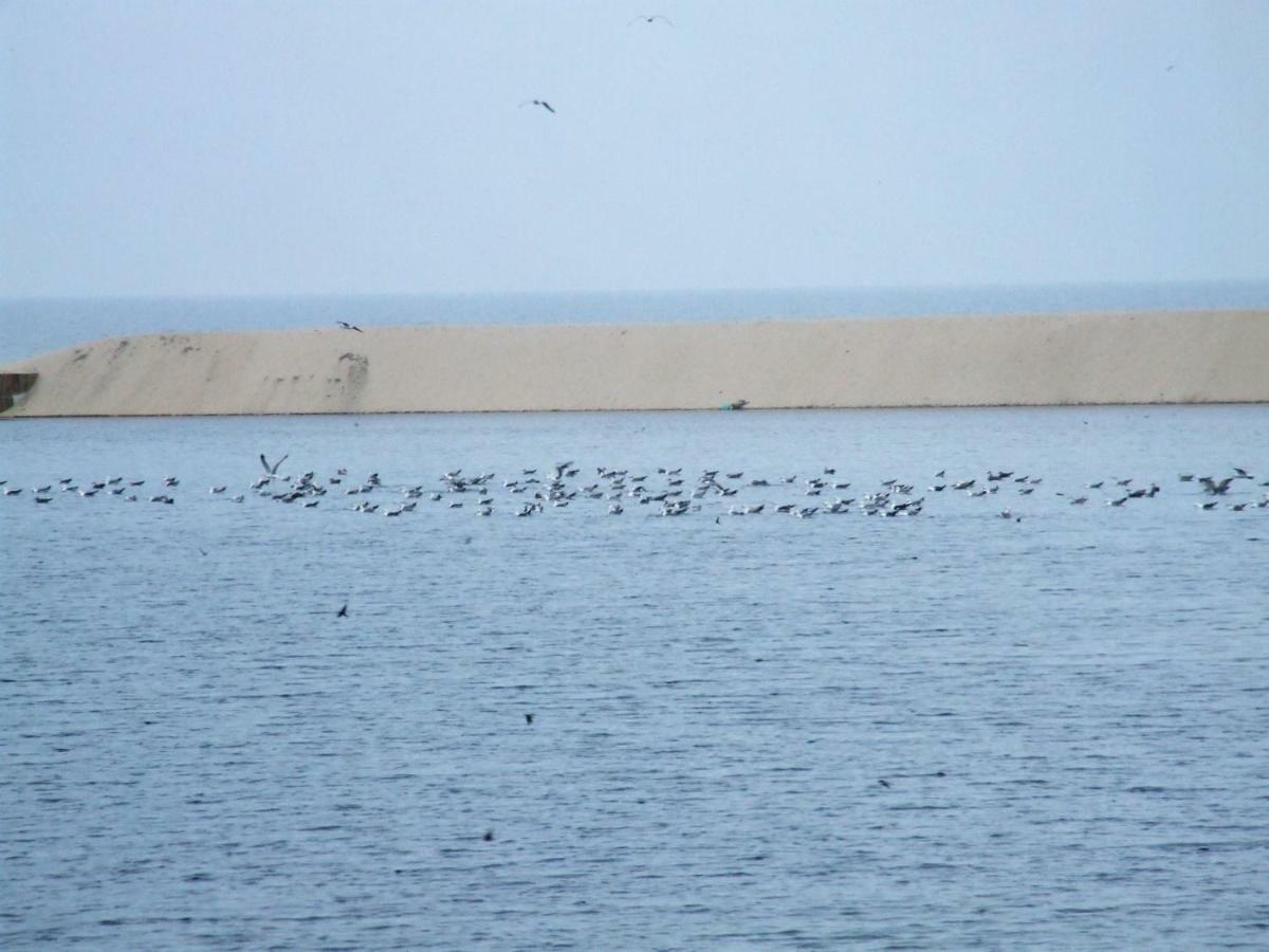 Casa Lagoa Verde Esmoriz Kültér fotó