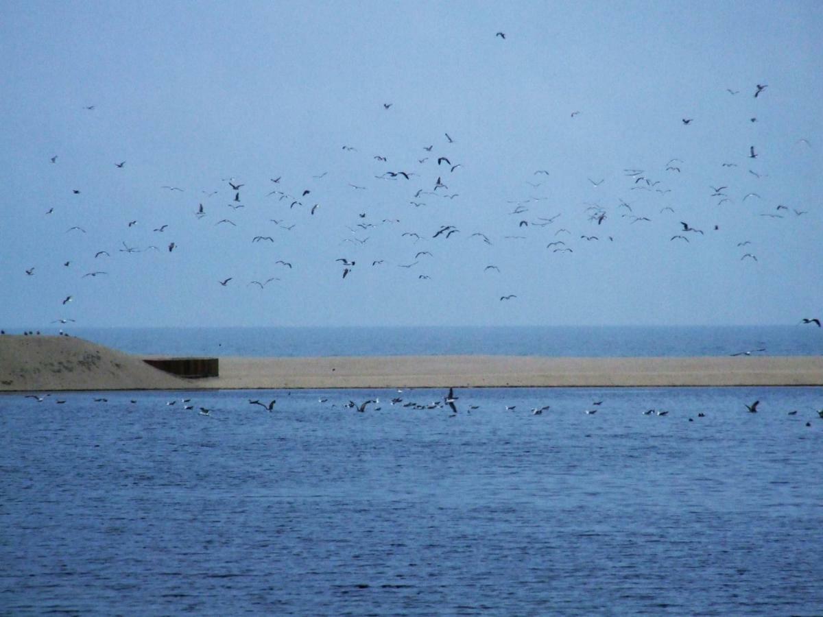 Casa Lagoa Verde Esmoriz Kültér fotó