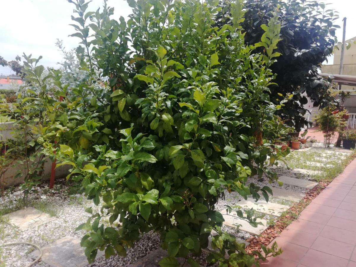 Casa Lagoa Verde Esmoriz Kültér fotó